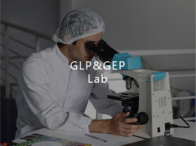 GLP&GEP Lab