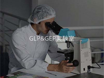 GLP&GEP実験室