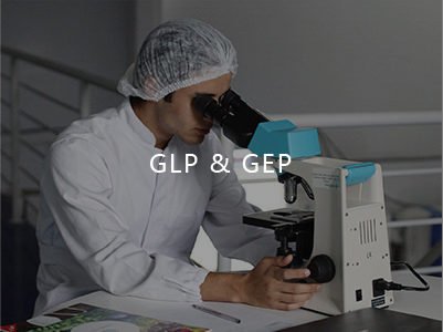 Presentación del laboratorio de GLP&GEP