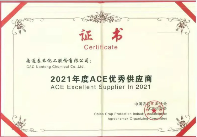 ACE展会获奖.png